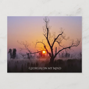 Georgia on my Mind Postcard