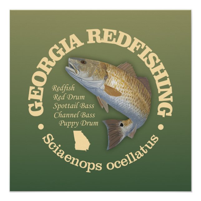 Georgia (redfish) poster (Front)