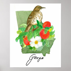 Georgia State Shape Bird Brown Thrasher Poster