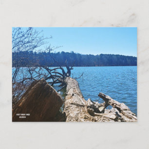 Georgia's Hidden Gem Postcard