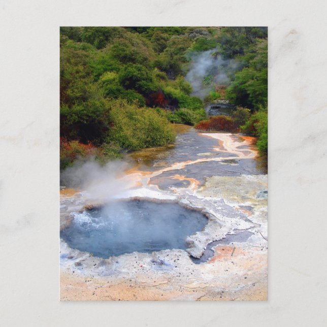 Geothermal Activity near Rotorua, New Zealand Postcard (Front)