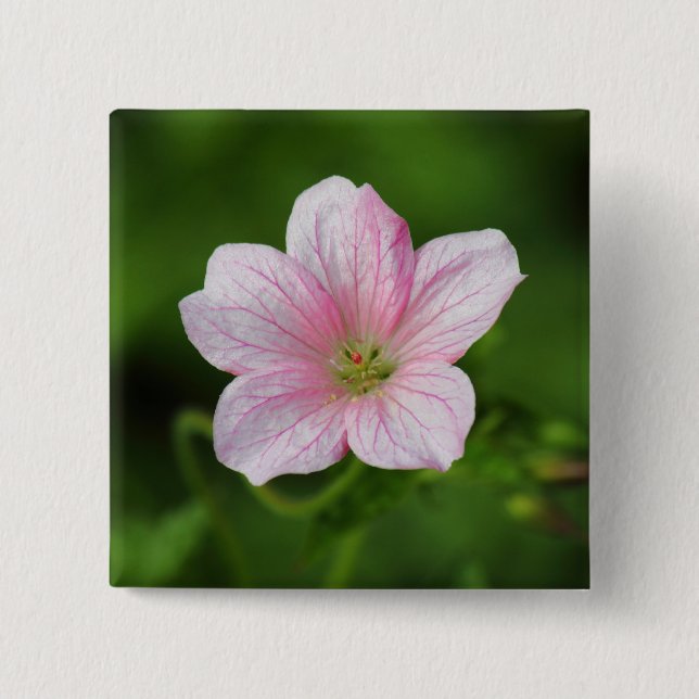 Geranium 2 Inch Square Button (Front)
