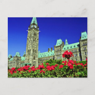 Geranium beds in full bloom on Parliament Hill, Ot Postcard