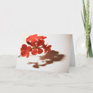 Geranium Blank Card Sympathy Condolence