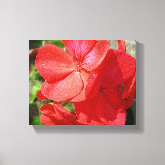 Geranium Canvas Print (Front)