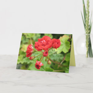 Geranium Card