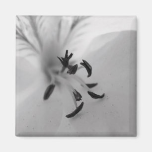 Geranium Centre B&W Magnet