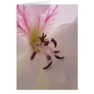 Geranium Centre Card