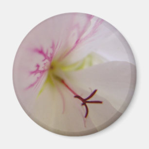 Geranium Centre Magnet