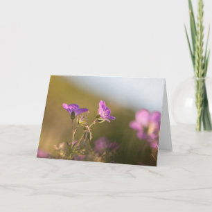 Geranium Flower Nature Photo Card