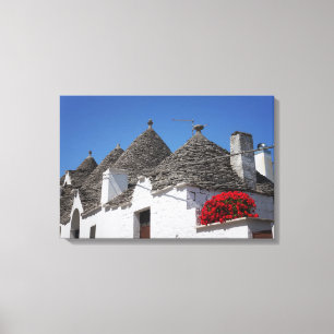 Geranium flowers and trulli houses in Alberobello Canvas Print