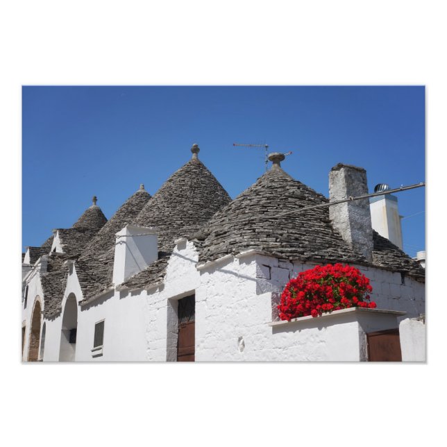 Geranium flowers and trulli houses in Alberobello Photo Print (Front)