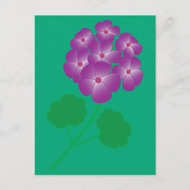 Geranium Flowers Postcard (Front)