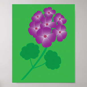 Geranium Flowers Poster