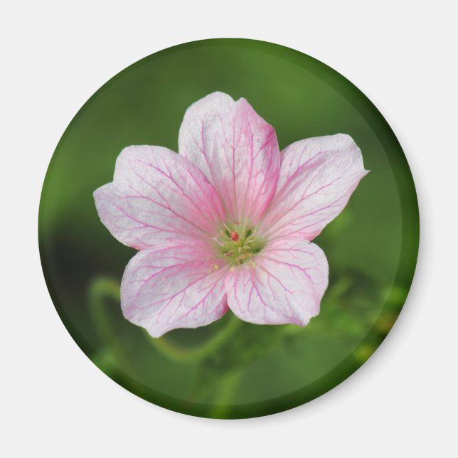 Geranium Magnet (Front)