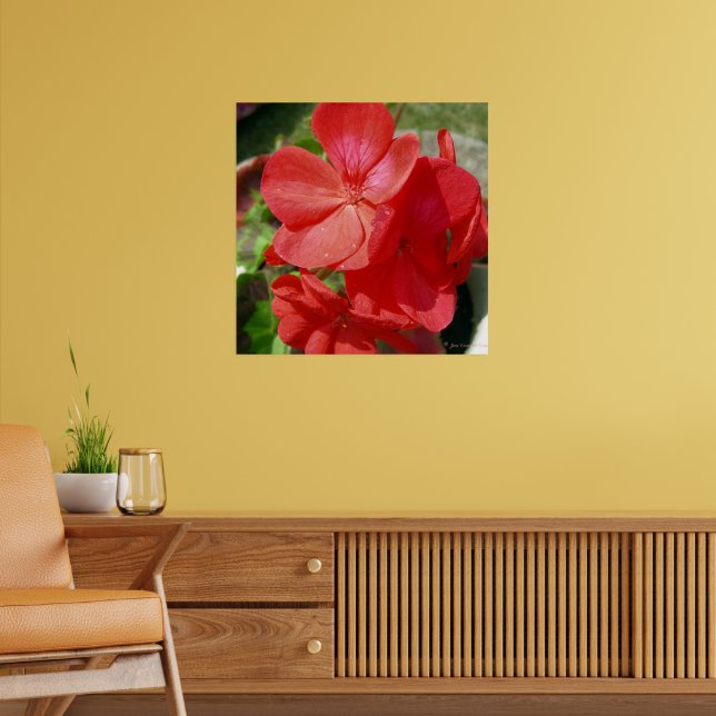 Geranium Poster (Living Room 2)
