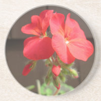 Geranium Red