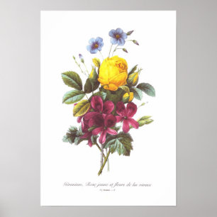 Geranium,Rose and Flax Poster