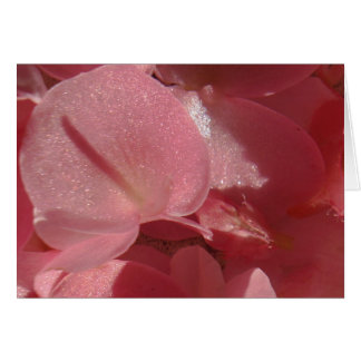 Géranium rose : presque solide Rose clair