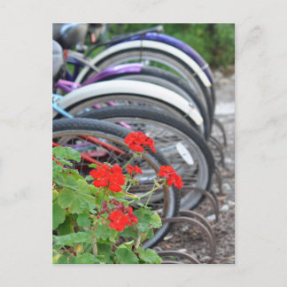 Geraniums and Bicycles Postcard