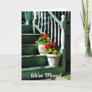 Geraniums and Pansies on Steps - We've Moved Card