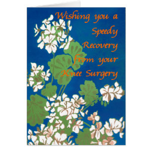 Geraniums blancs sur Blue Get Well Knee Surgery