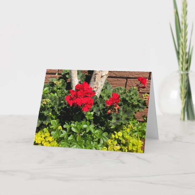 Geraniums Card (Front)