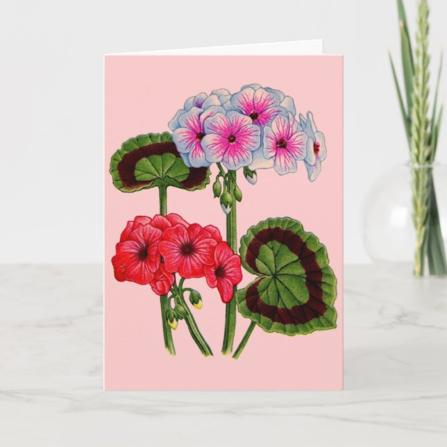 geraniums card (Front)