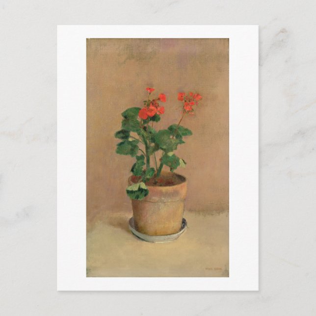 Geraniums in a Pot, c.1905 (oil on canvas) Postcard (Front)