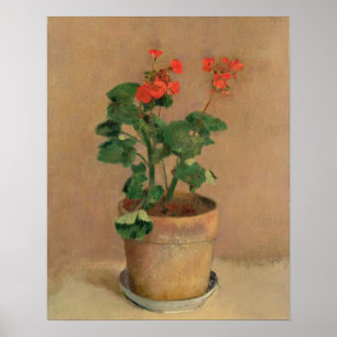 Geraniums in a Pot, c.1905 (oil on canvas) Poster