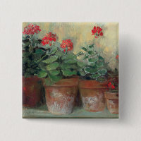 Geraniums in Pots