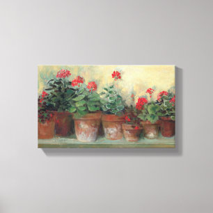 Geraniums in Pots Canvas Print