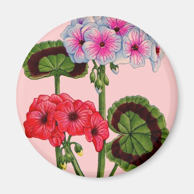 geraniums magnet (Front)