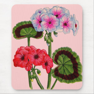 geraniums mouse pad