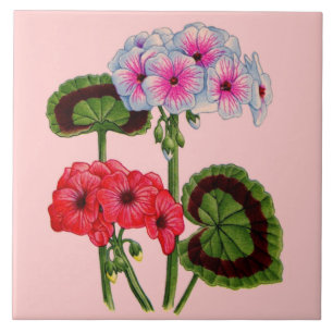 geraniums tile