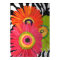 Gerber Daisies on Zebra Background