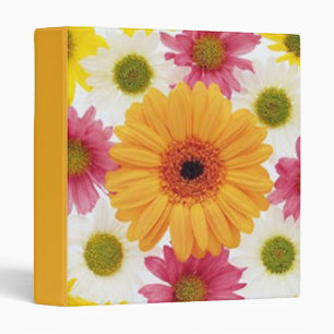 Gerber Daisy 1" Binder