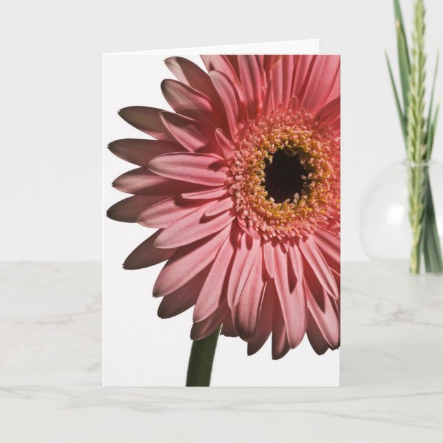 Gerber Daisy #2 Card (Front)
