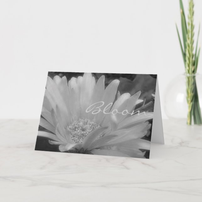 Gerber Daisy Bloom Card (Front)