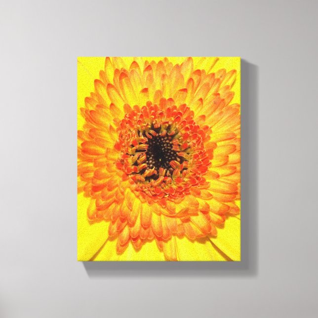 Gerber Daisy Canvas Print (Front)