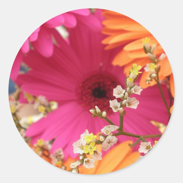 Gerber Daisy Classic Round Sticker (Front)