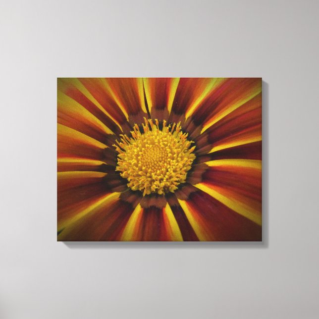 Gerber Daisy en toile noire Vignette (Recto)