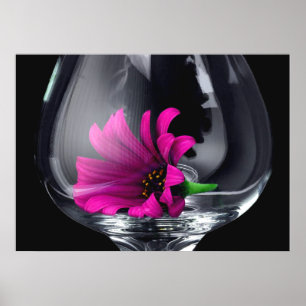 Gerber Daisy en Verre Vin POSTER ou CARD