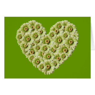 Gerber Daisy Heart