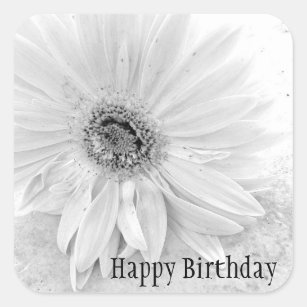 Gerber Daisy In Black And White Happy Birthday Square Sticker