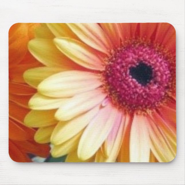 Gerber Daisy Mousepad (Front)