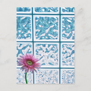 Gerber Daisy Postcard