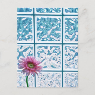 Gerber Daisy Postcard