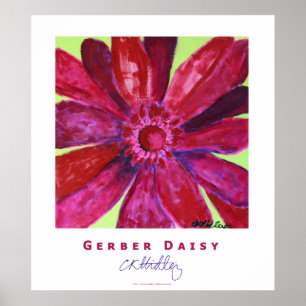 Gerber Daisy Poster