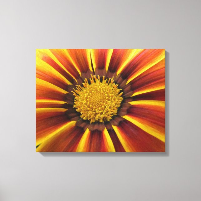 Gerber Daisy Up Close and Personal Canvas (Front)